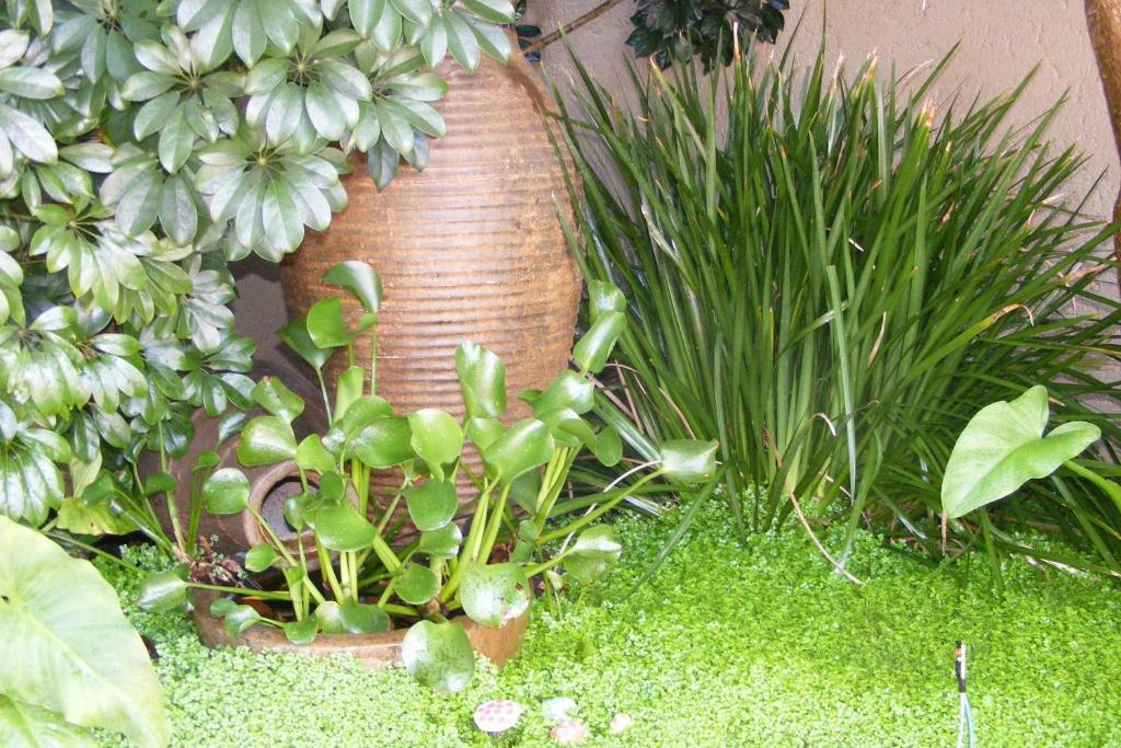 Linkside 2 Self-Catering Hotel Mossel Bay Ngoại thất bức ảnh